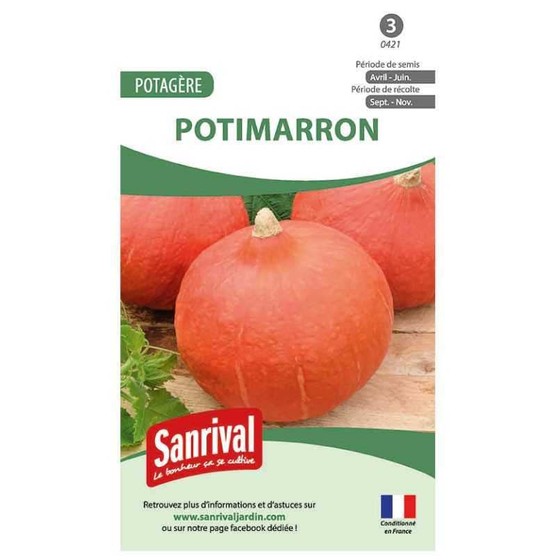 graines de Potimarron graines de Potimarron