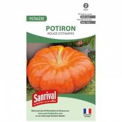 graines de Potiron Rouge d'Etampes