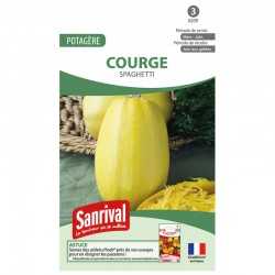 graines de Courge Spaghetti