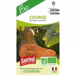 graines de Courge Sucrine du Berry