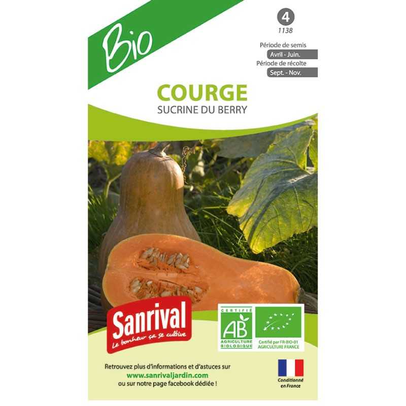 graines de Courge Sucrine du Berry graines de Courge Sucrine du Berry