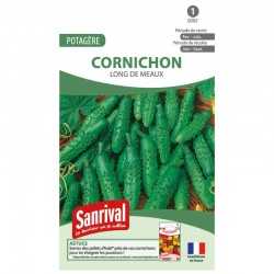 graines de Cornichon long de Meaux