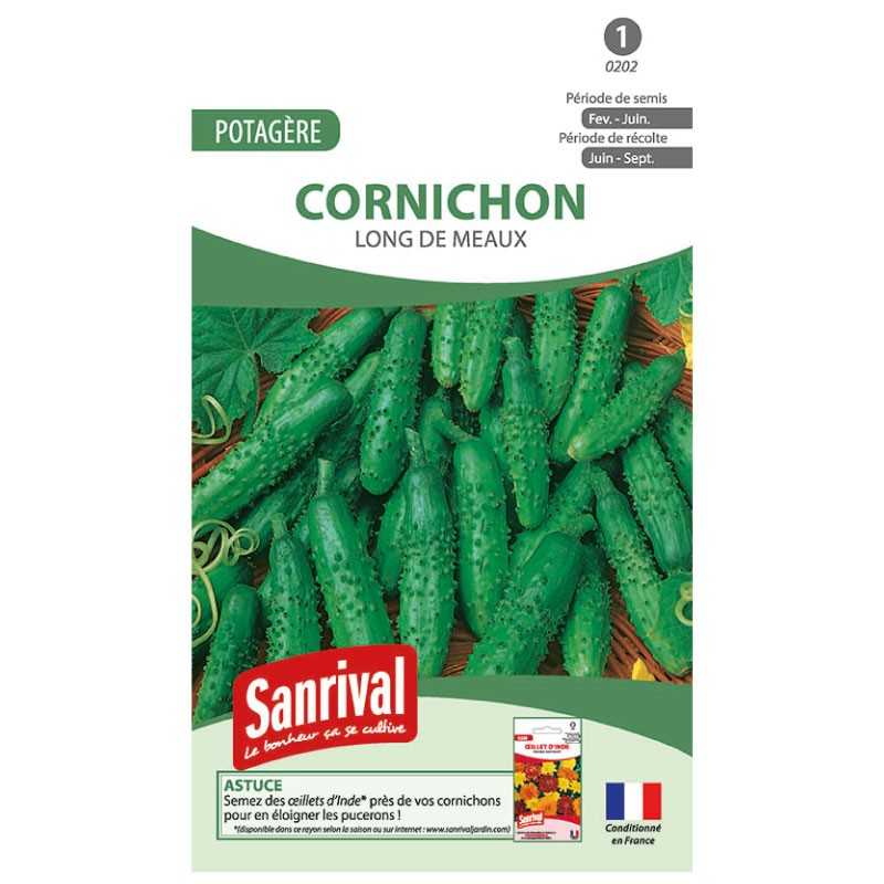 graines de Cornichon long de Meaux