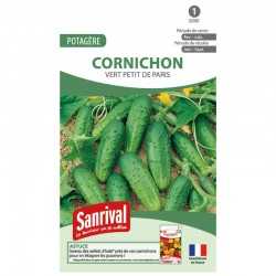 graines de Cornichon vert petit de Paris
