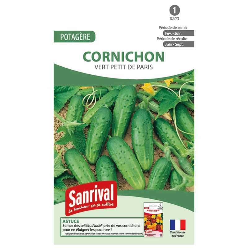 graines de Cornichon vert petit de Paris graines de Cornichon vert petit de Paris
