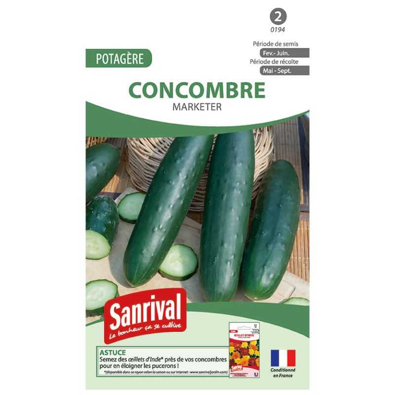graines de Concombre long Marketer graines de Concombre long Marketer