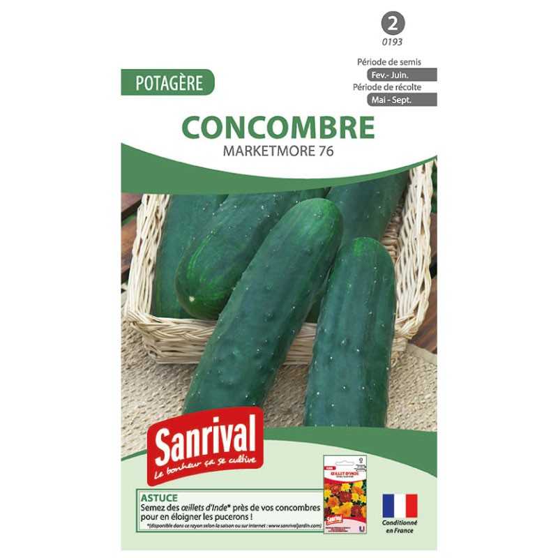 graines de Concombre Marketmore 76 graines de Concombre Marketmore 76