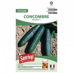 graines de Concombre Raider F1