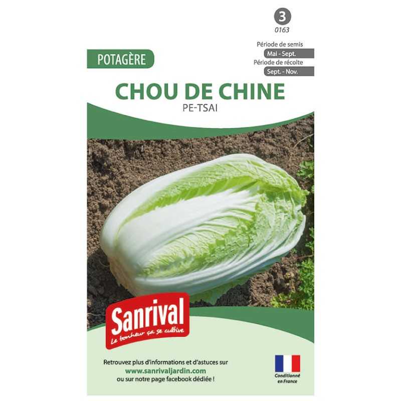 graines de Chou de Chine Pe-Tsai graines de Chou de Chine Pe-Tsai