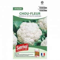 graines de Chou-fleur Merveille de toutes saisons