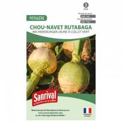 graines de Chou-navet rutabaga Wilhemsburger jaune &agrave; collet vert
