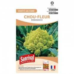 graines de Chou Romanesco
