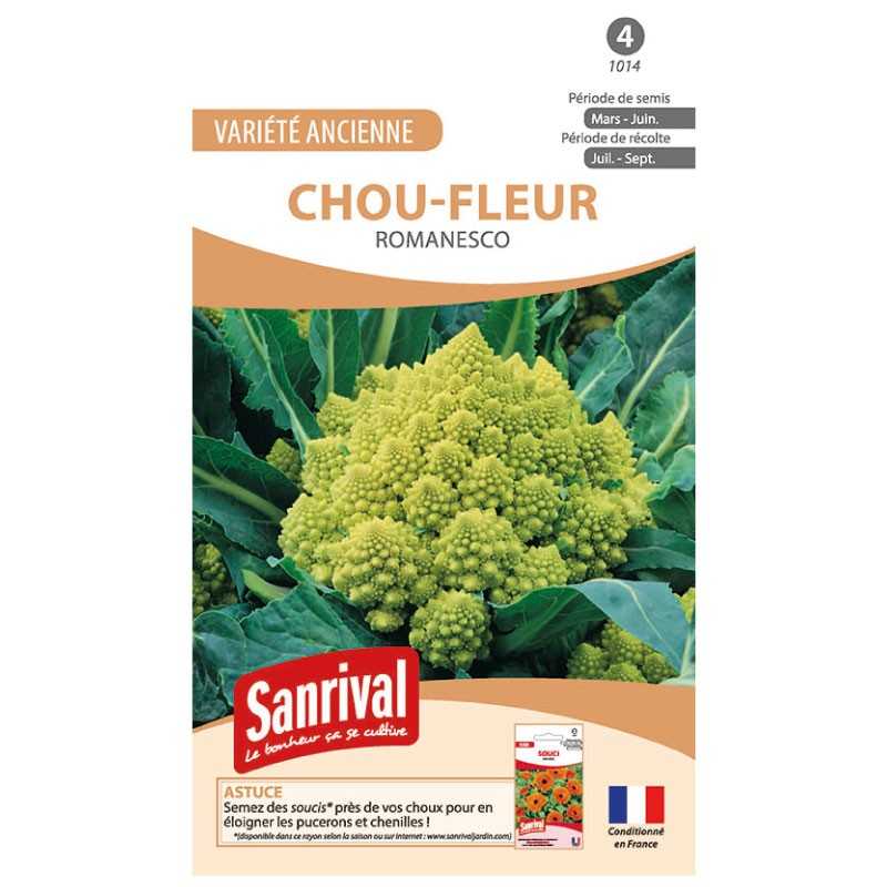 graines de Chou Romanesco graines de Chou Romanesco