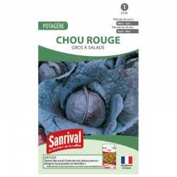 graines de Chou rouge Gros &agrave; salade