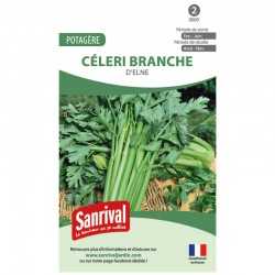 graines de Céleri branche d'Elne