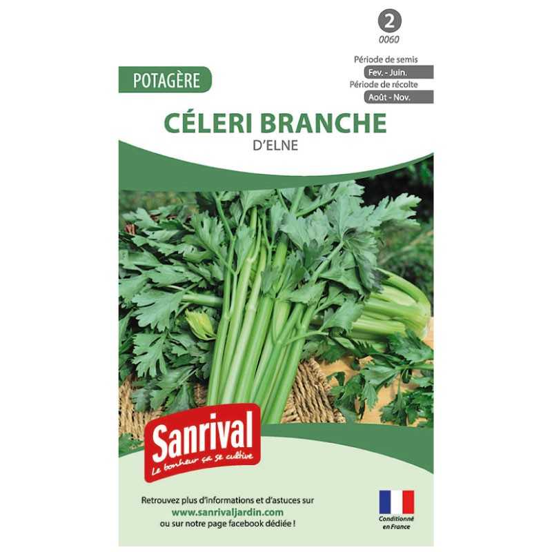 graines de Céleri branche d'Elne graines de Céleri branche d'Elne