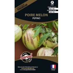 graines de Poire Melon Pepino