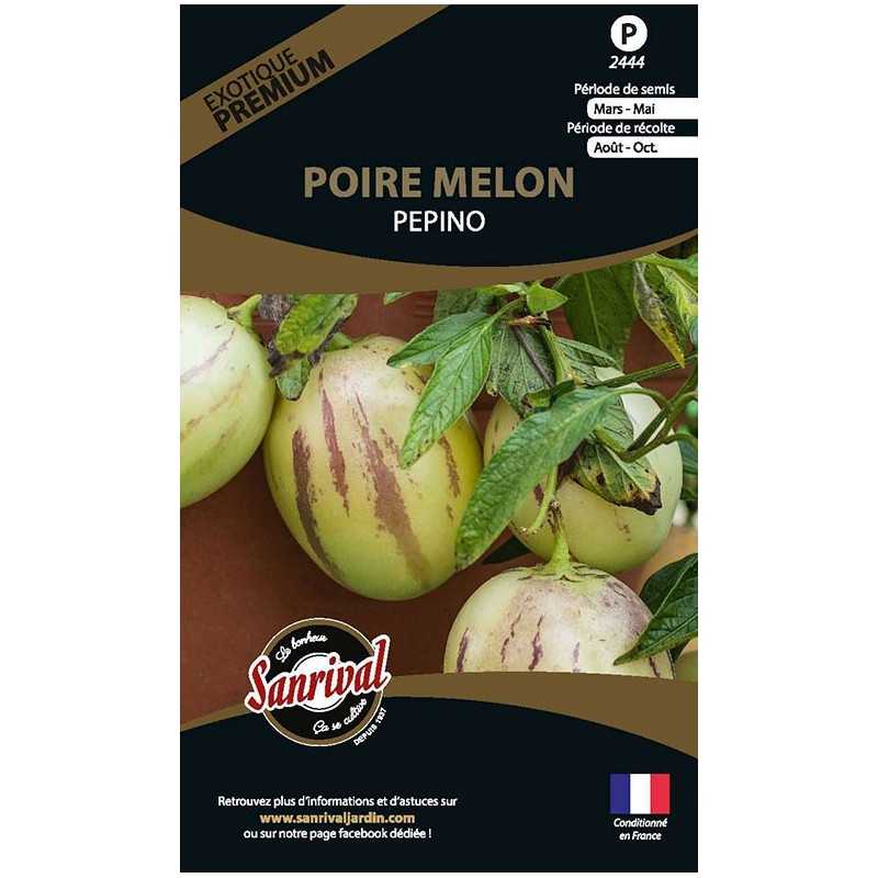 graines de Poire Melon Pepino graines de Poire Melon Pepino