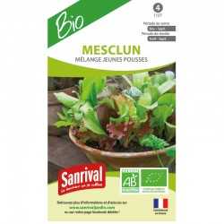 graines de Mesclun M&eacute;lange jeunes pousses