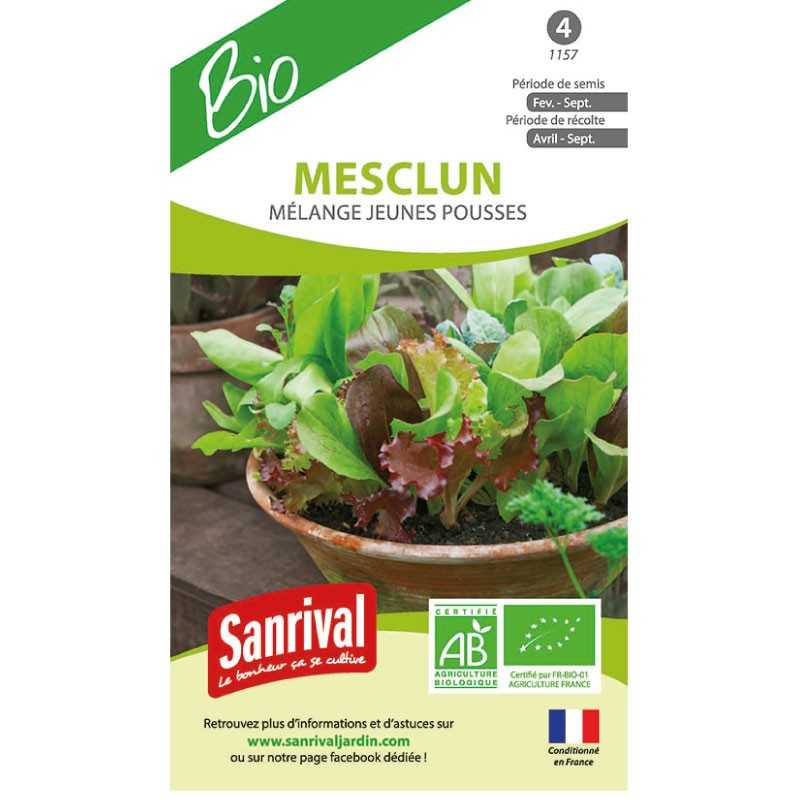graines de Mesclun Mélange jeunes pousses graines de Mesclun Mélange jeunes pousses