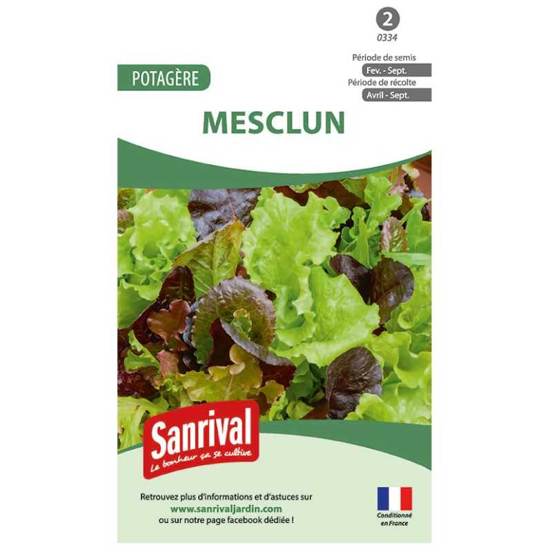 graines de Mesclun graines de Mesclun