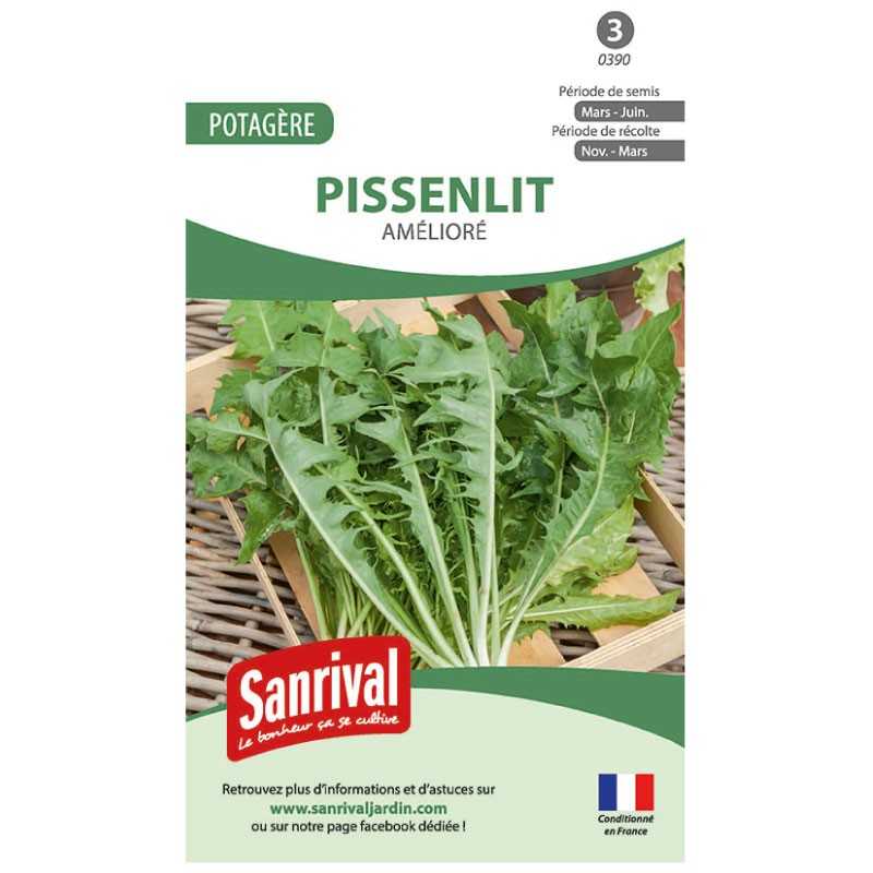 graines de Pissenlit amélioré