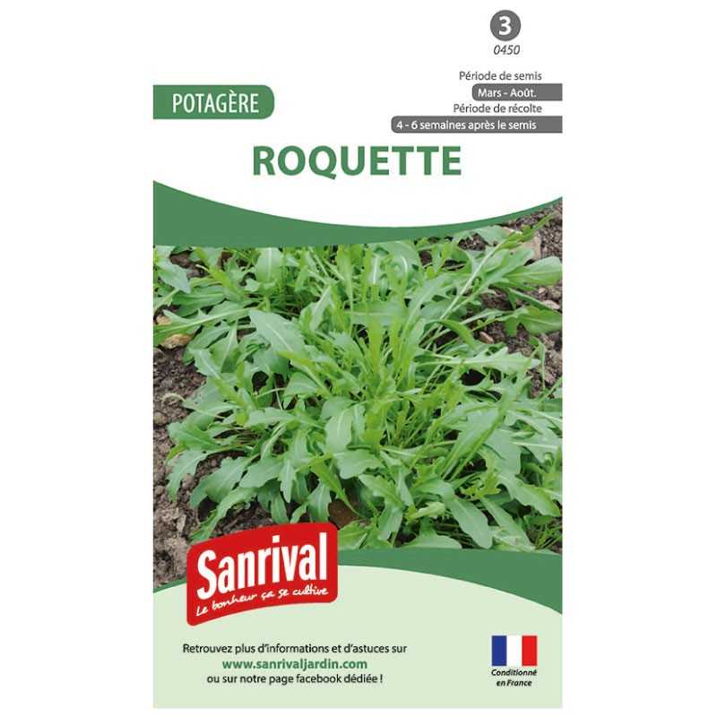 graines de Roquette