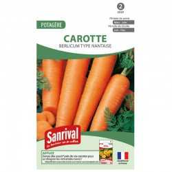 Graines de Carotte Berlicum type nantaise