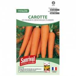 graines de Carotte de Colmar &agrave; c&oelig;ur rouge (Flakkee)