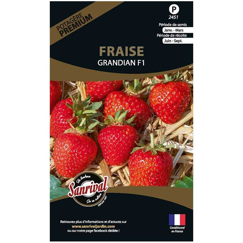 graines de Fraise Grandian F1 graines de Fraise Grandian F1