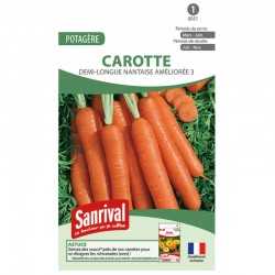graines de Carotte Demi-longue Nantaise am&eacute;lior&eacute;e 3