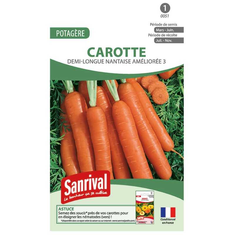 graines de Carotte Demi-longue Nantaise améliorée 3 graines de Carotte Demi-longue Nantaise améliorée 3
