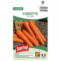 Carotte Touchon