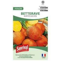 graines de Betterave Burpees Golden