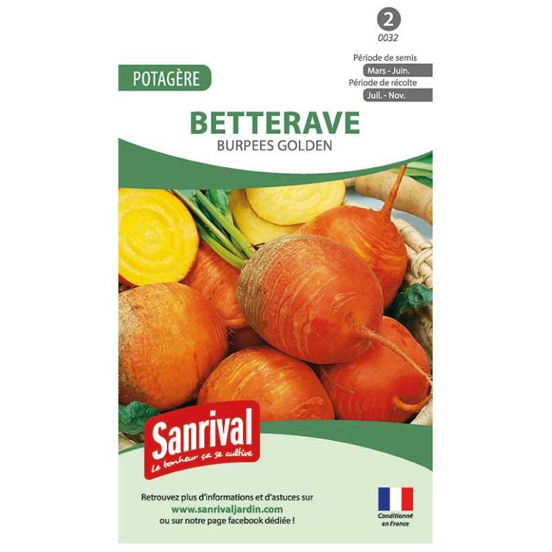 graines de Betterave Burpees Golden graines de Betterave Burpees Golden
