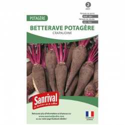 graines de Betterave potag&egrave;re Crapaudine
