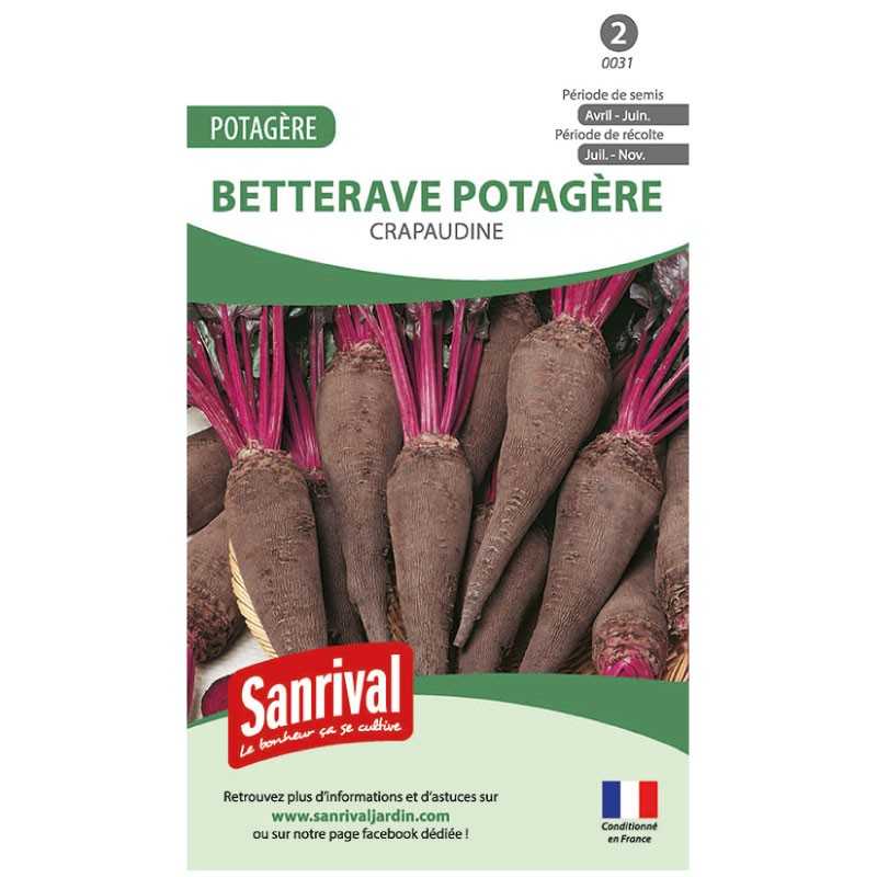graines de Betterave potagère Crapaudine