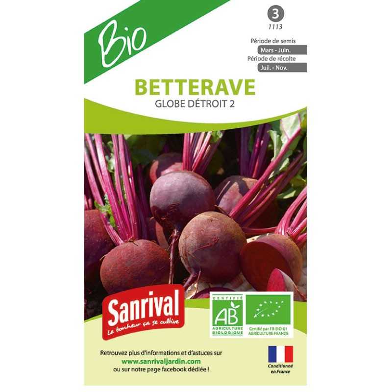 graines de Betterave Globe Détroit 2 graines de Betterave Globe Détroit 2