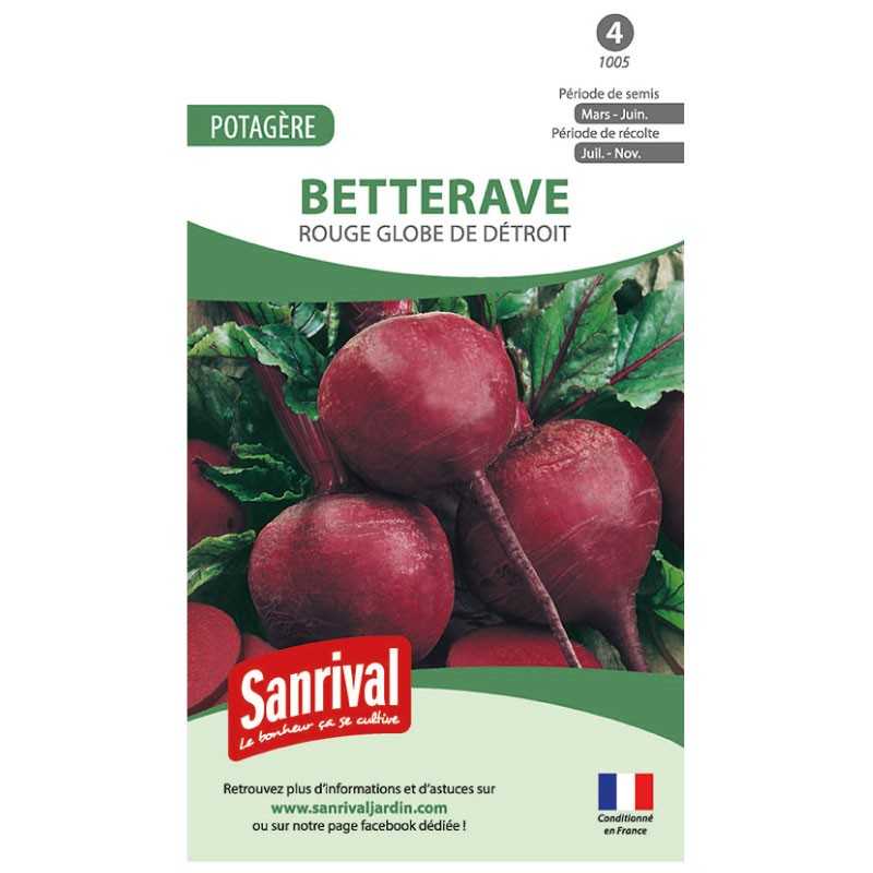 graines de Betterave rouge globe de Détroit graines de Betterave rouge globe de Détroit