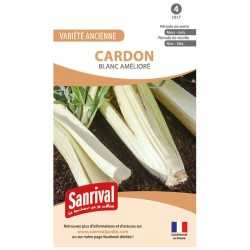 graines de Cardon Blanc am&eacute;lior&eacute;