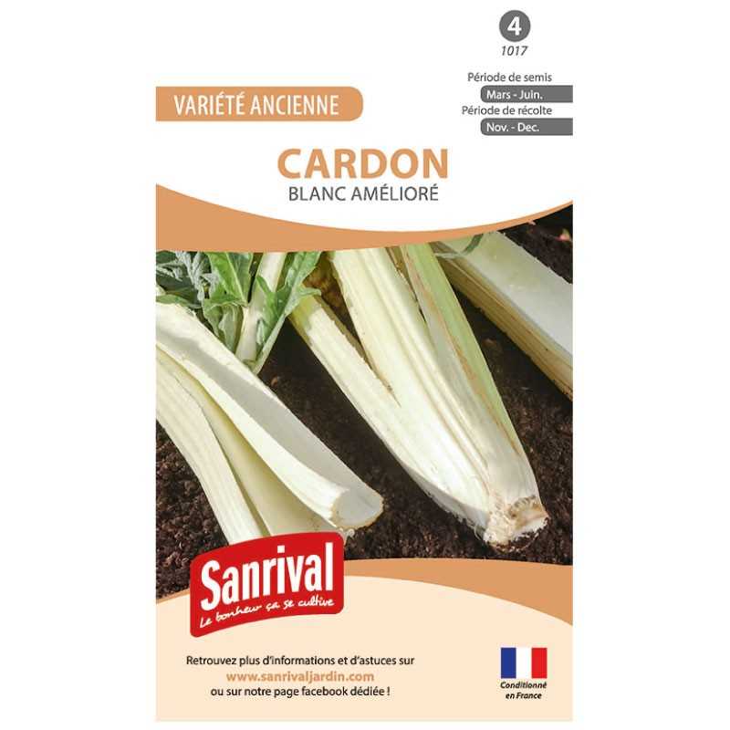 graines de Cardon Blanc amélioré graines de Cardon Blanc amélioré
