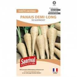 graines de Panais demi-long de Guernesey