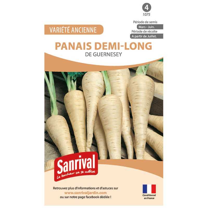 graines de Panais demi-long de Guernesey graines de Panais demi-long de Guernesey