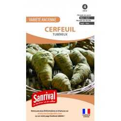 Cerfeuil tub&eacute;reux