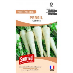 Persil Tub&eacute;reux
