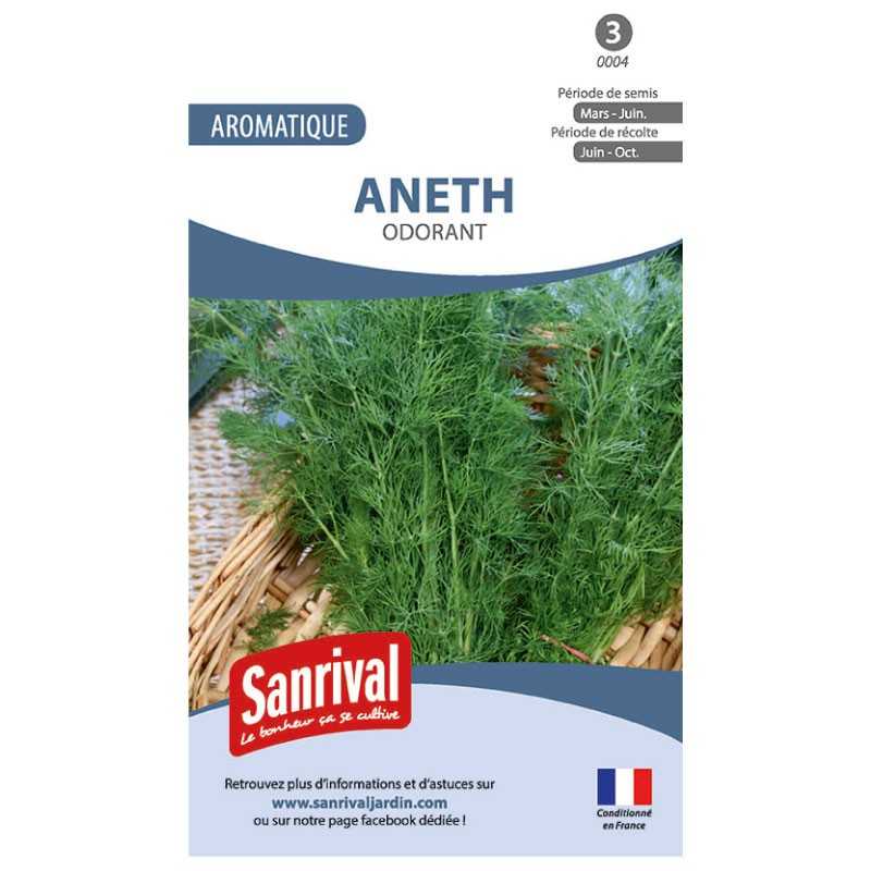Graines d'Aneth Odorant Graines d'Aneth Odorant