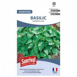 Graines de basilic marseillais