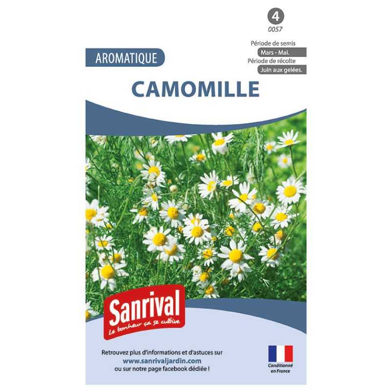 Graines de Camomille Graines de Camomille