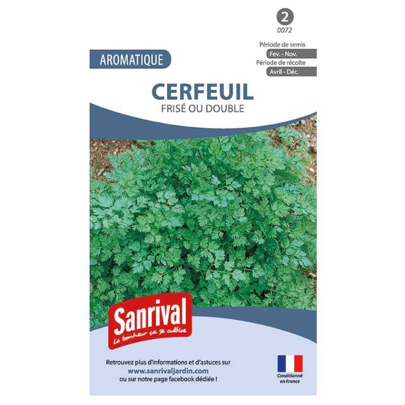 Graines de Cerfeuil Frisé ou Double Graines de Cerfeuil Frisé ou Double