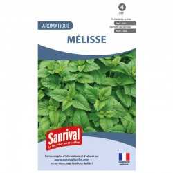 Graines de M&eacute;lisse
